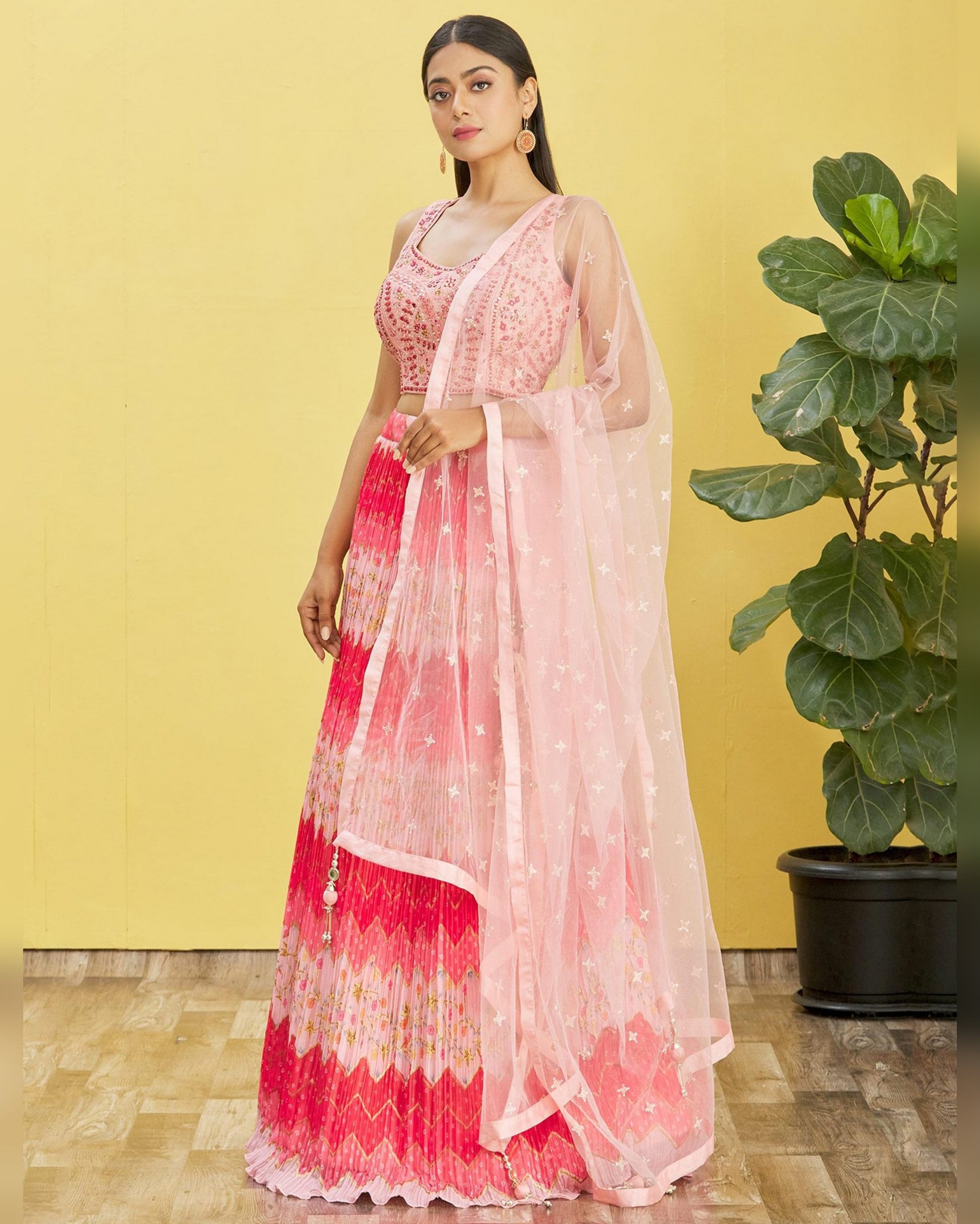 Woman wearing a pink and red traditional outfit with a plant in the background