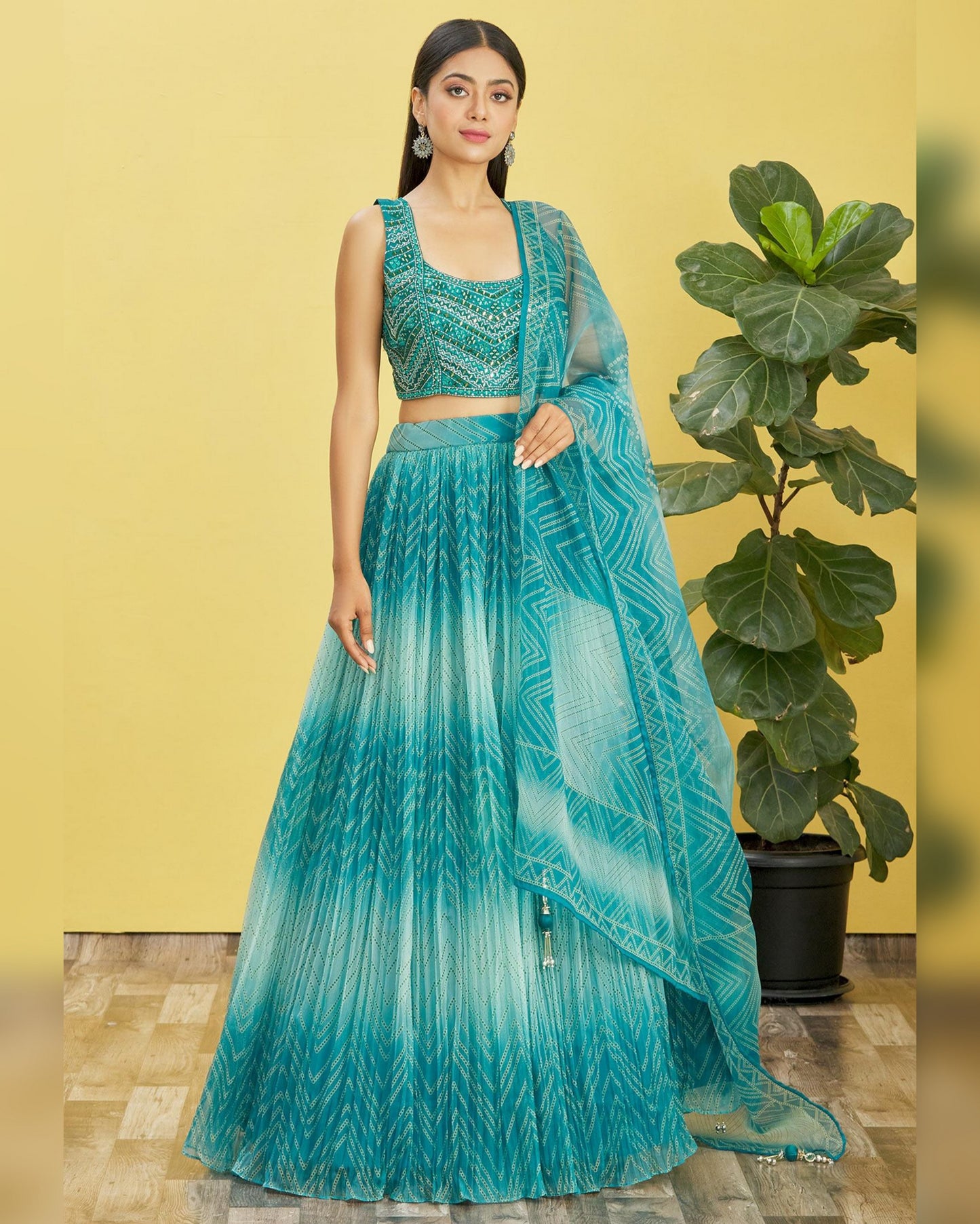 Woman in a teal traditional outfit standing next to a potted plant against a yellow wall.