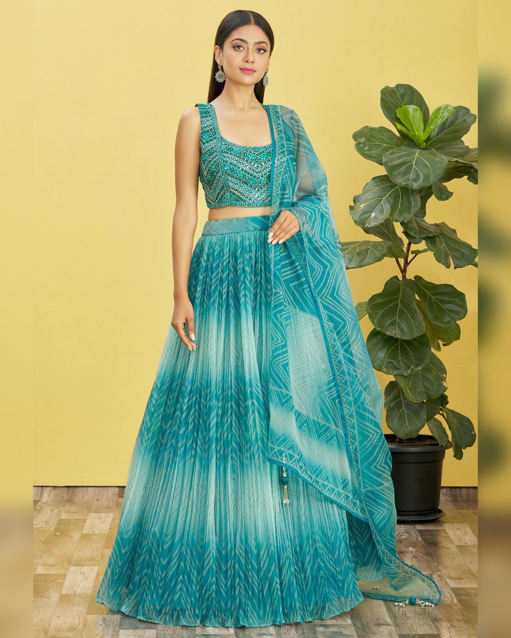 Woman in a teal traditional outfit standing next to a potted plant against a yellow wall.