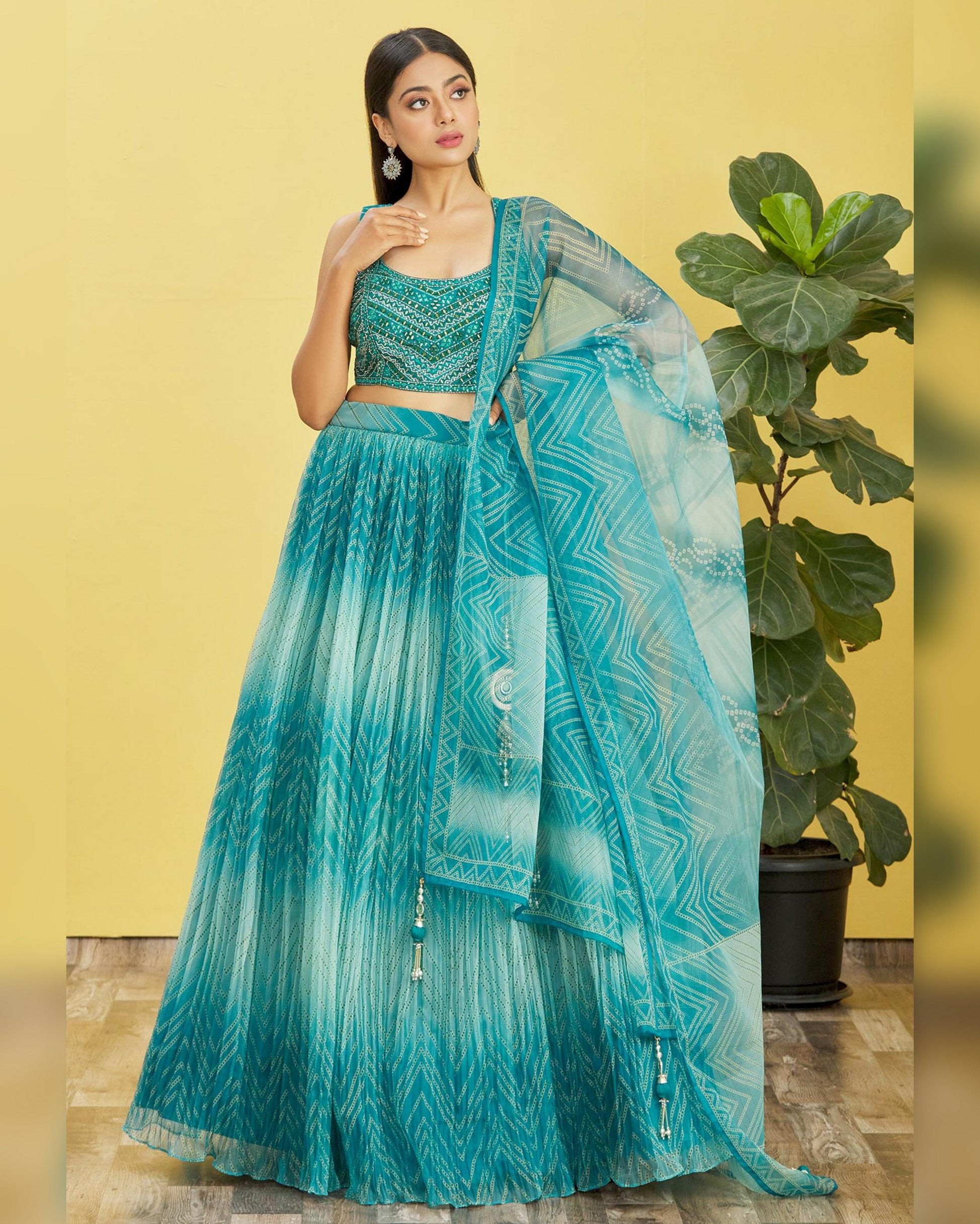 Woman in a teal traditional outfit with a plant in the background