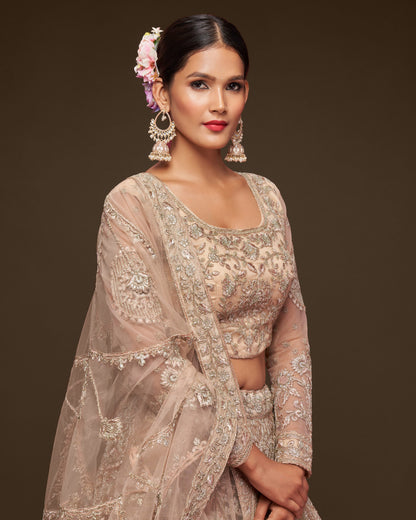 Woman wearing a traditional embroidered saree with a plain background