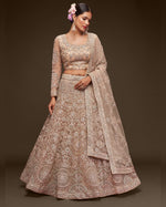Beige Net Lehenga With Blouse & Dupatta For Indian & Pakistani Wedding Festival - Thread, Zari, Badla and Glitter Dori Embroidery Work